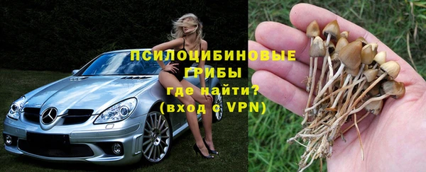a pvp Белокуриха
