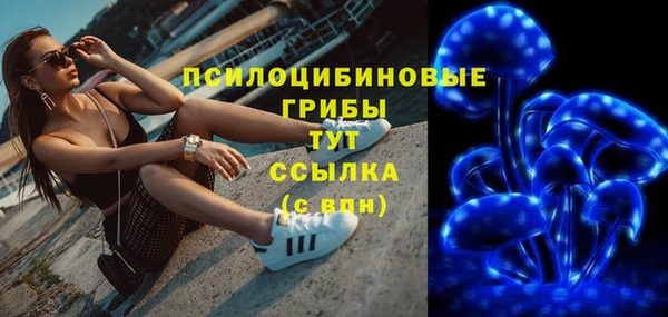 a pvp Белокуриха