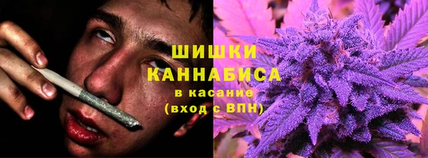 a pvp Белокуриха