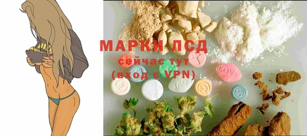 a pvp Белокуриха