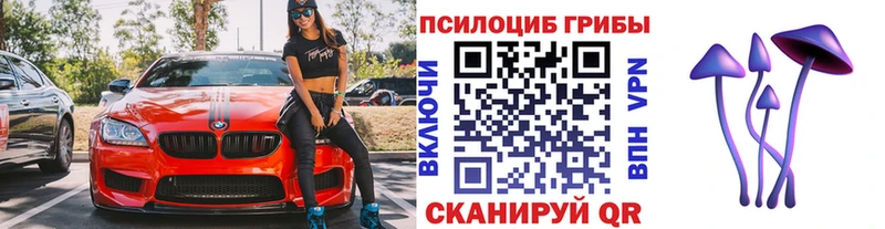 Псилоцибиновые грибы мухоморы  цена наркотик  Череповец 